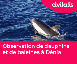 Observation de dauphins et de baleines à Dénia
