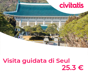 Visita guidata di Seul