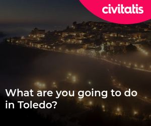 What are you going to do in Toledo?
