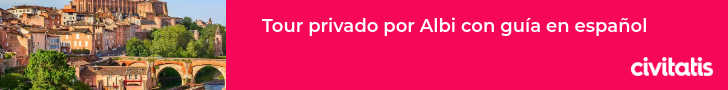 Tour privado por Albi con guía en español