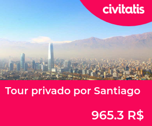 Tour privado por Santiago