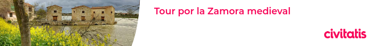 Tour por la Zamora medieval