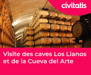 Visite des caves Los Llanos et de la Cueva del Arte