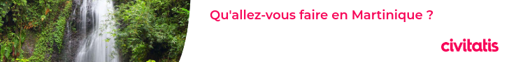 Qu'allez-vous faire en Martinique ?