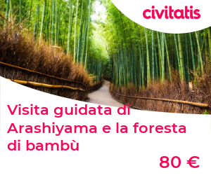 Visita guidata di Arashiyama e la foresta di bambù