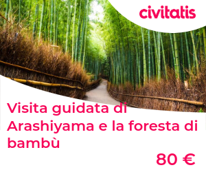 Visita guidata di Arashiyama e la foresta di bambù