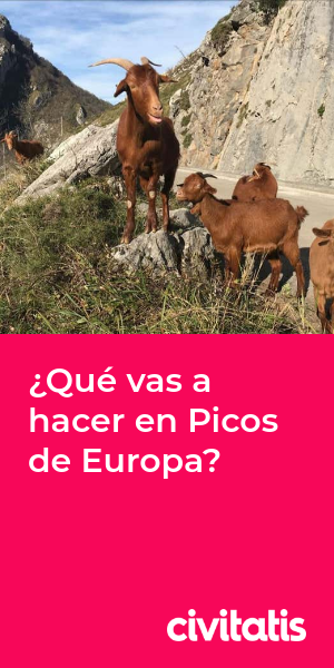 ¿Qué vas a hacer en Picos de Europa?