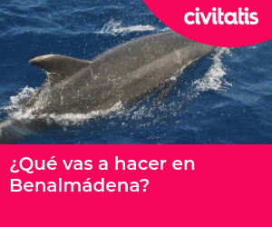 ¿Qué vas a hacer en Benalmádena?