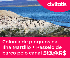 Colônia de pinguins na Ilha Martillo + Passeio de barco pelo canal Beagle