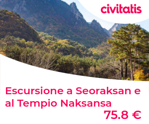 Escursione a Seoraksan e al Tempio Naksansa