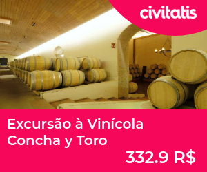 Excursão à Vinícola Concha y Toro