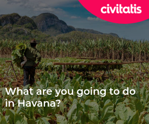 What are you going to do in Havana?