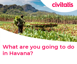 What are you going to do in Havana?