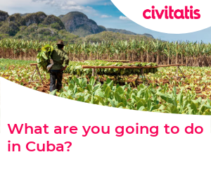 What are you going to do in Cuba?
