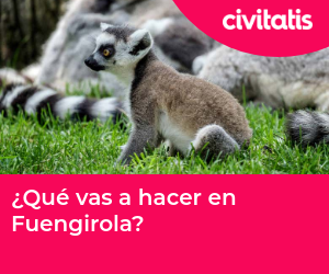 ¿Qué vas a hacer en Fuengirola?