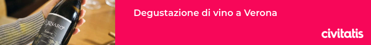 Degustazione di vino a Verona