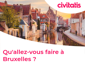 Qu'allez-vous faire à Bruxelles ?