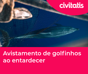 Avistamento de golfinhos ao entardecer