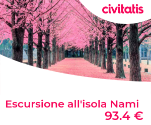 Escursione all'isola Nami