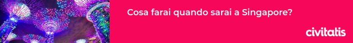 Cosa farai quando sarai a Singapore?