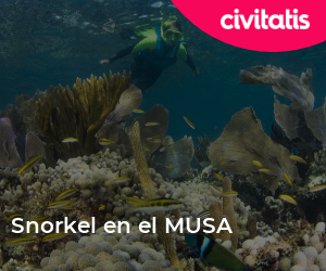 Snorkel en el MUSA