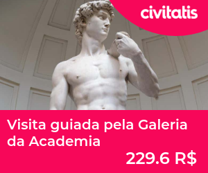 Visita guiada pela Galeria da Academia