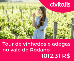 Tour de vinhedos e adegas no vale do Ródano