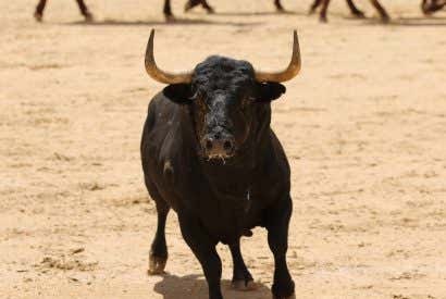 Los toros llegan a Las Vegas