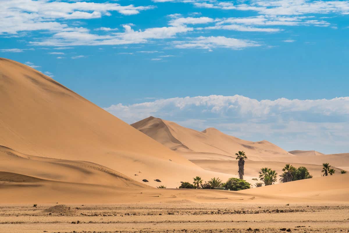 Desierto del Namib