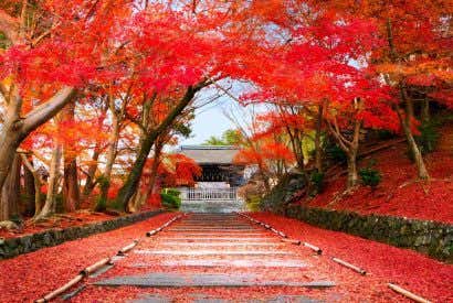 Les meilleures destinations pour profiter de l’automne