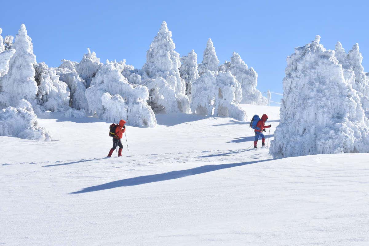 Dos personas andando en Sierra Nevada.