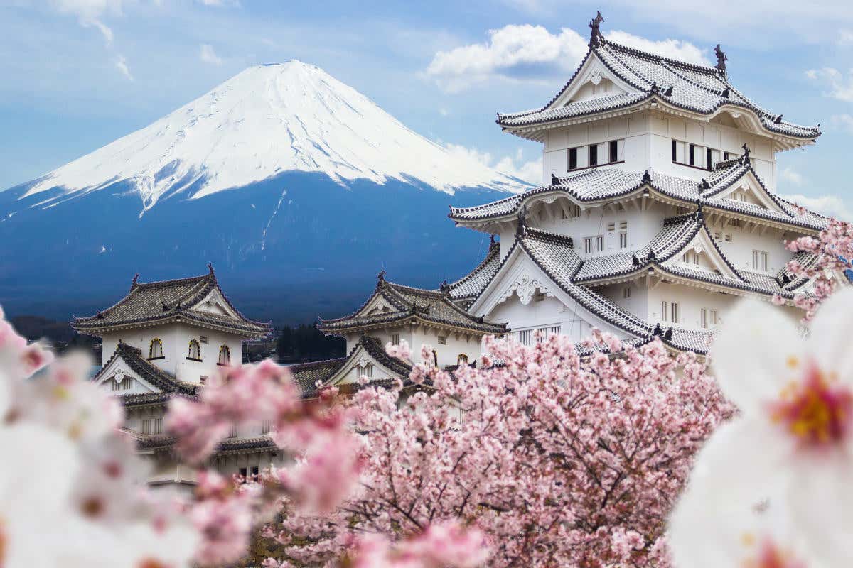 Livre pour voyager au Japon