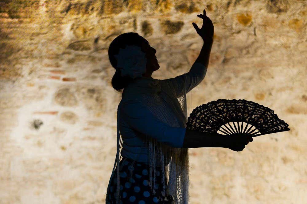 La sagoma di una danzatrice di flamenco, in posa che un braccio alzato, mentre nella mano destra tiene un ventaglio aperto, sulla testa si intravede un grosso fiore bianco che decora e chiude una pettinatura raccolta in uno chignon