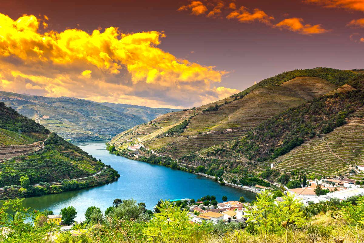 Região do Vale do Douro, famosa pelo vinho