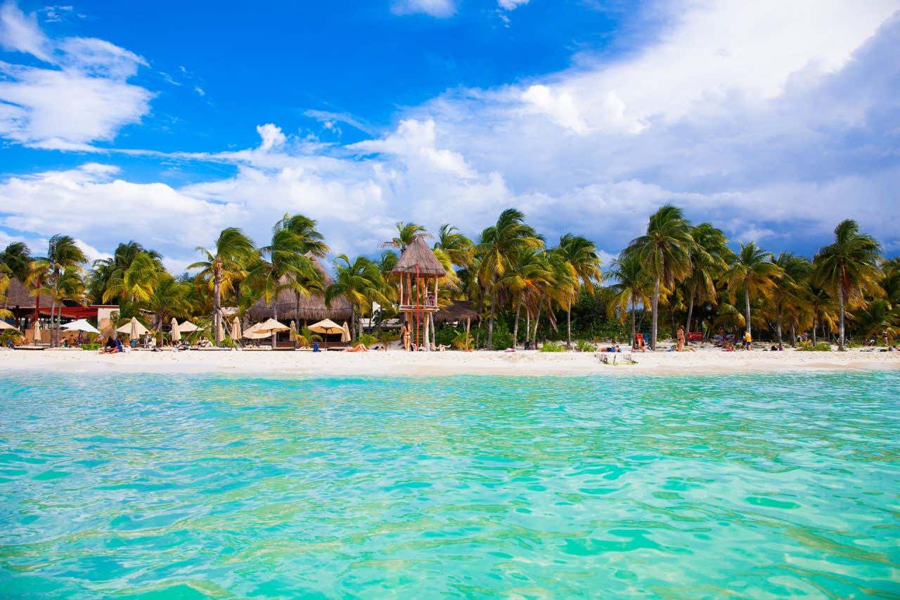 Vista da Isla Mujeres, coberta de coqueiros e areia branca, com um mar com águas cristalinas