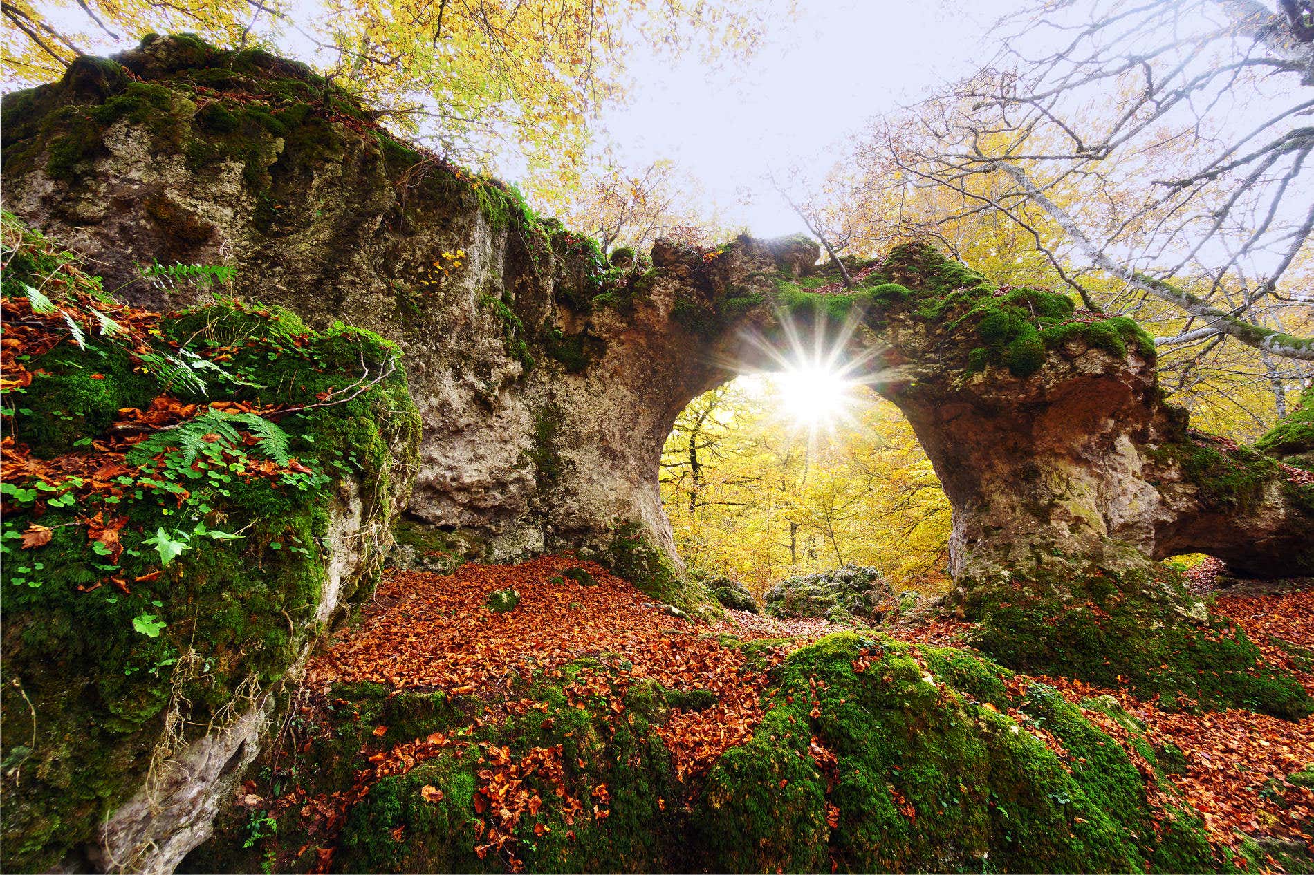 bosques españa