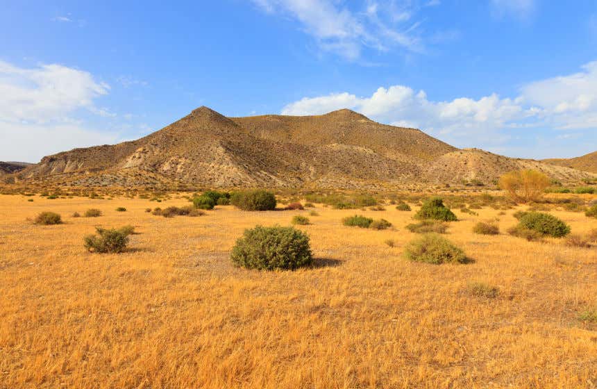 Montañas del desierto de Tabernas frente a un cielo despejado y una explanada con algunos arbustos.