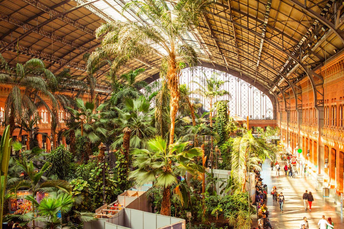 Jardín tropical de la estación de Atocha en Madrid