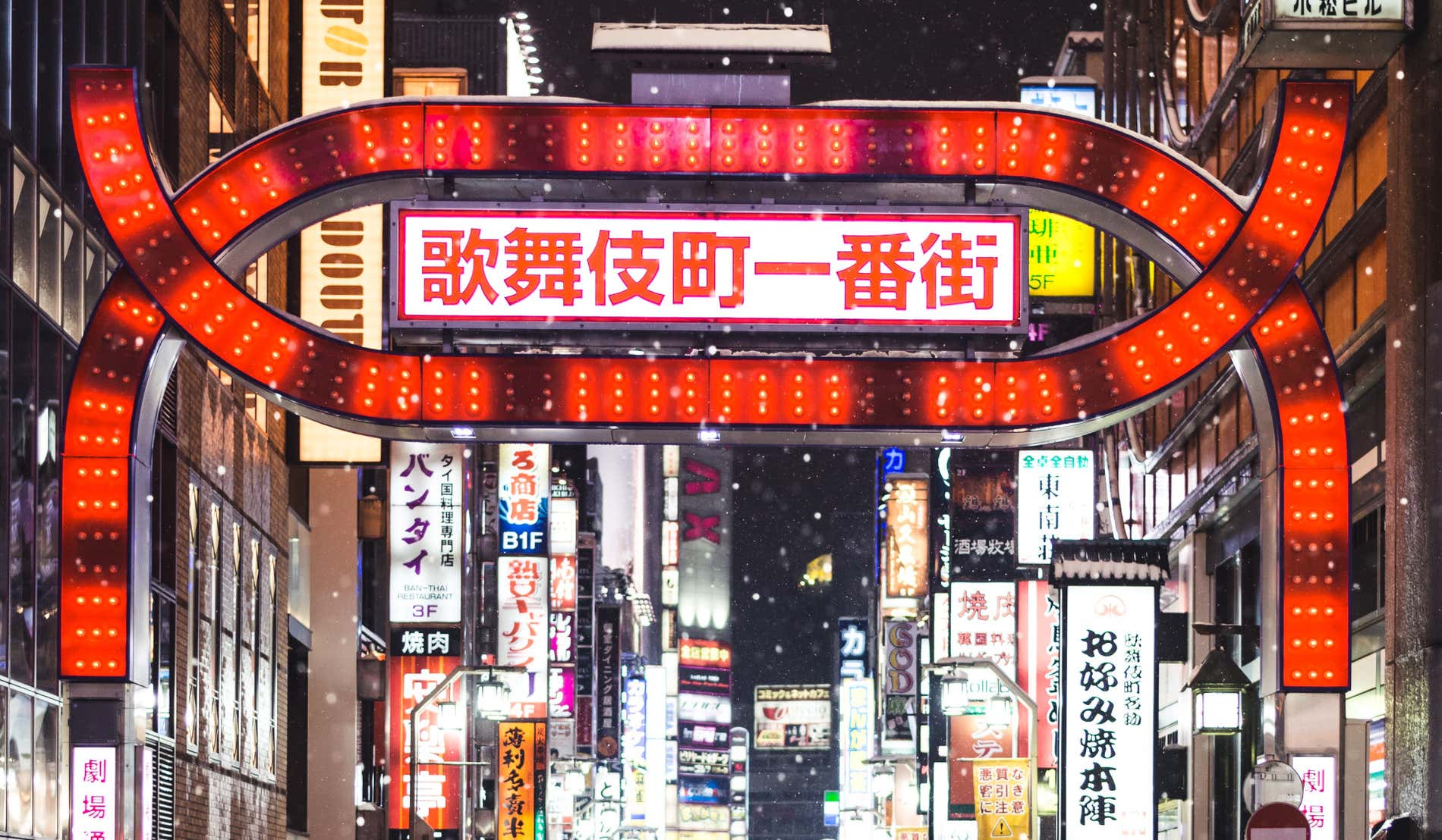 Tokio nevado