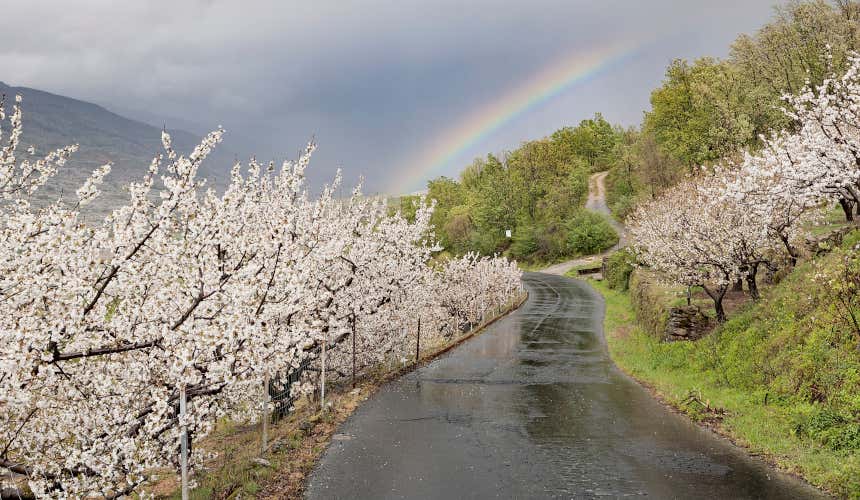 Carretera del Valle del Jerte