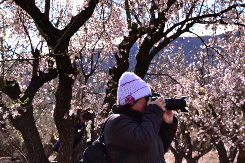 Mujer haciendo una foto a los almendros en flor del Valle del Pop en Alicante.