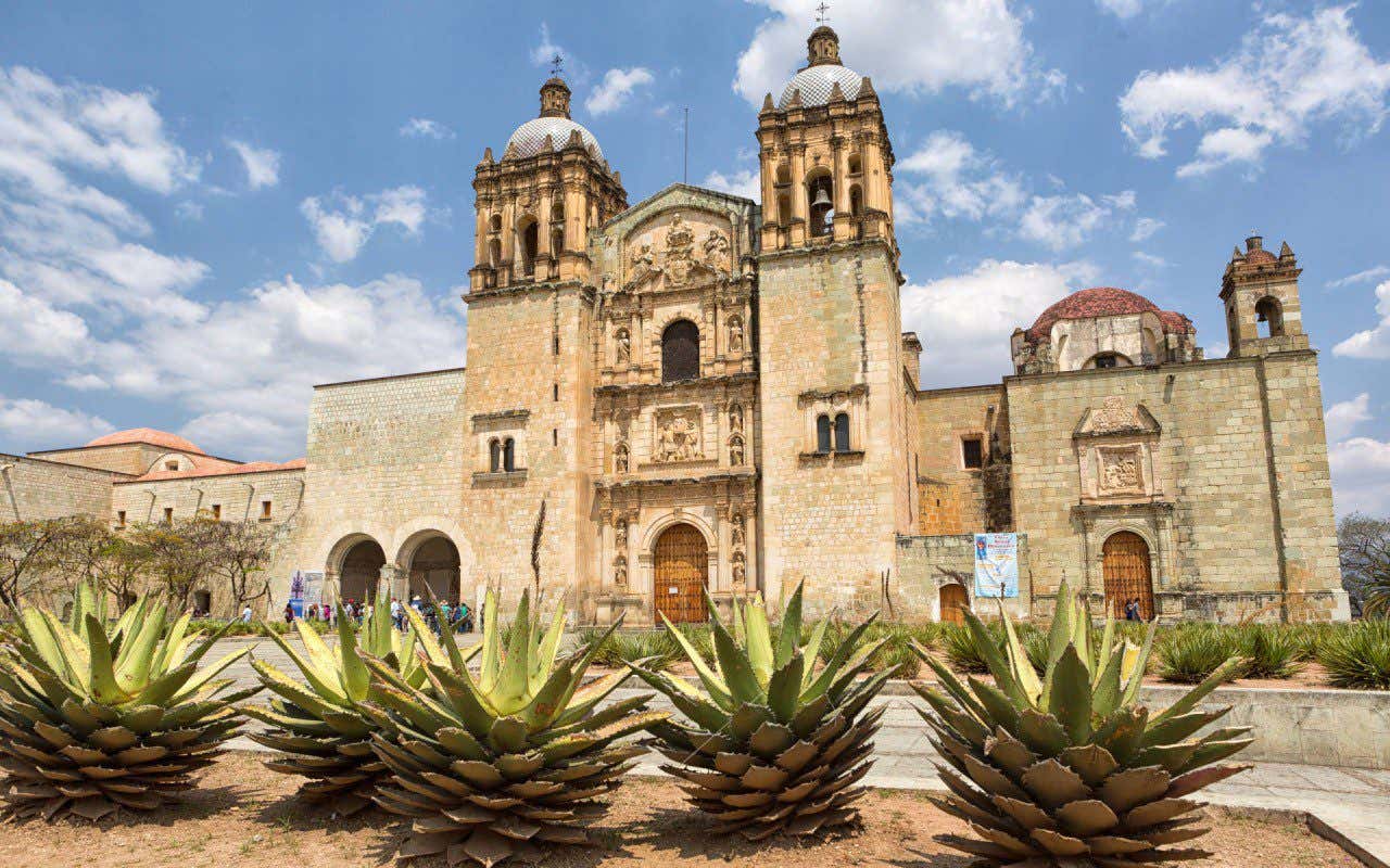 Facciata della cattedrale di Oaxaca con diverse piante grasse in primo piano