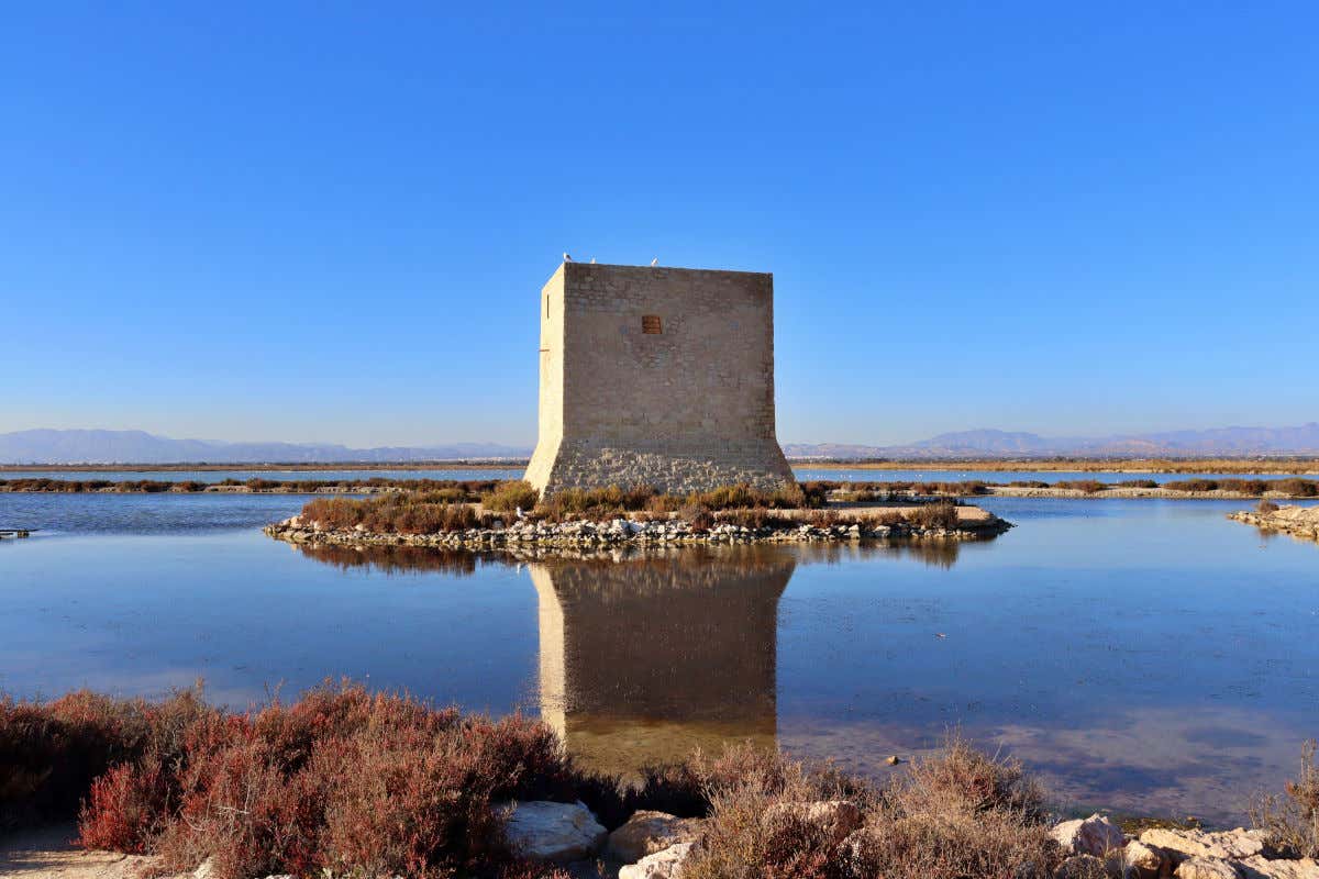 Zone humide du Parc naturel des Salines de Santa Pola avec une construction en pierre au milieu de l'eau