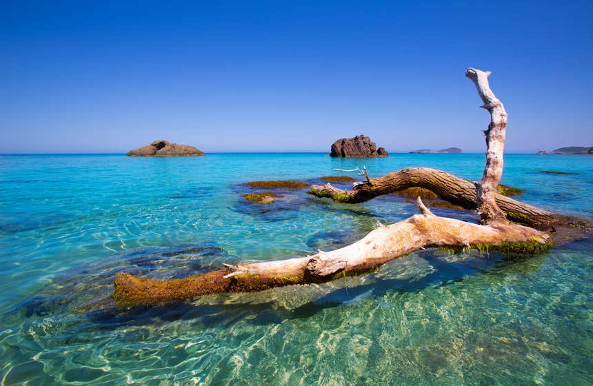 Aigües Blanques, un paraíso ibicenco considerado una de las mejores playas de las Islas Baleares.