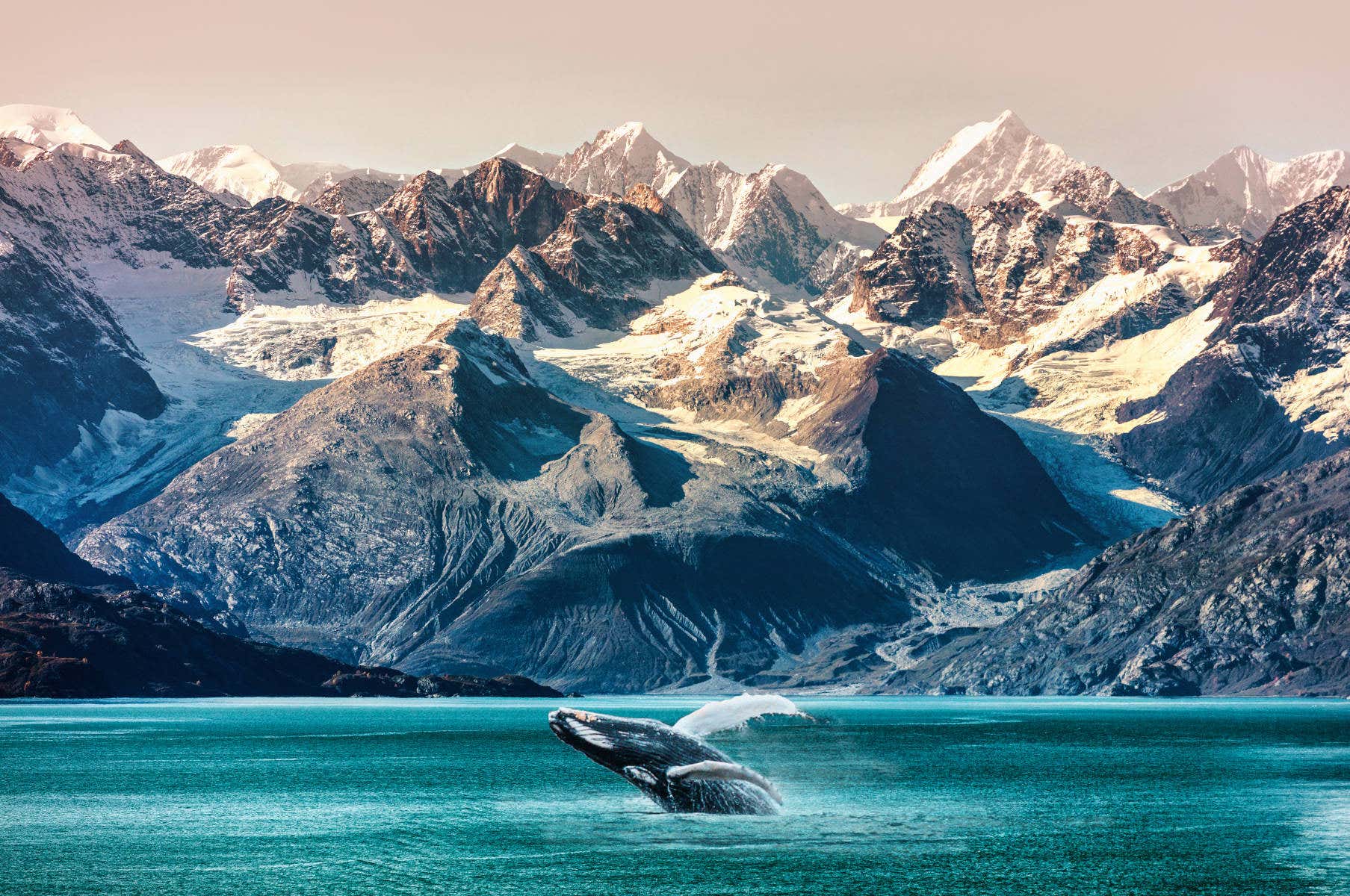 Qué ver en Alaska - Civitatis Magazine