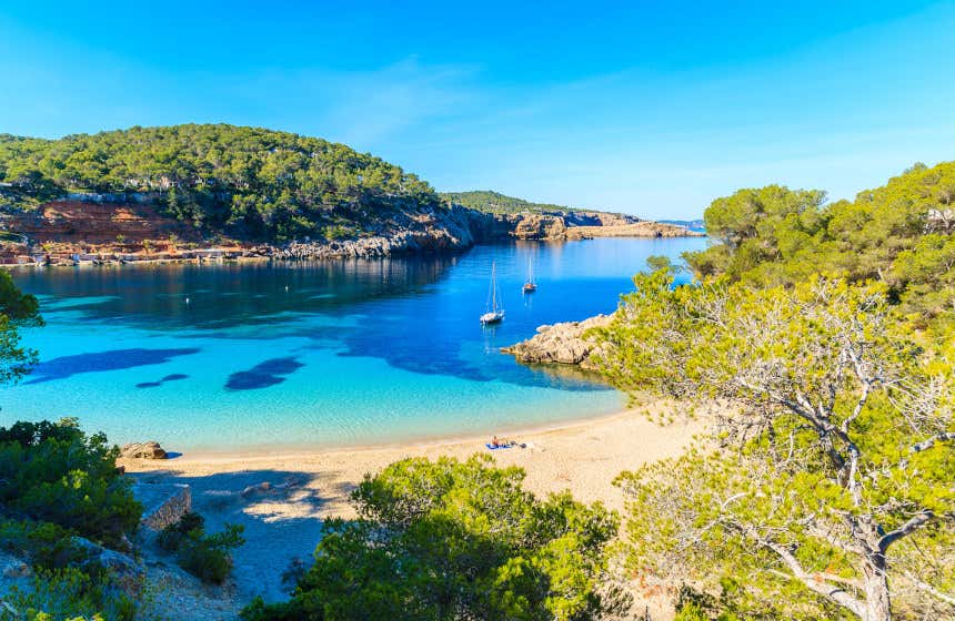 Enclave aislado en Ibiza: Cala Salada, considerada una de las mejores playas de las Islas Baleares.