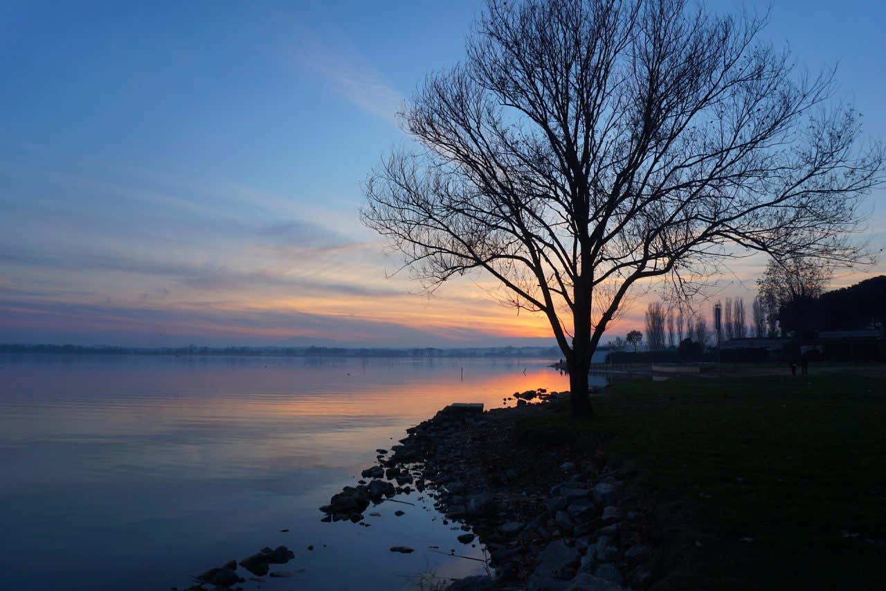 Lago Trasimeno al tramonto con un albero spoglio sulla riva.