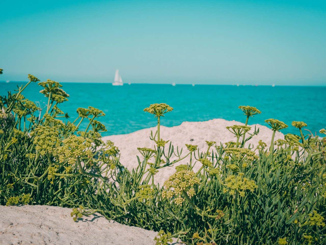 La Conche des Baleines, une des plus belles plages de France