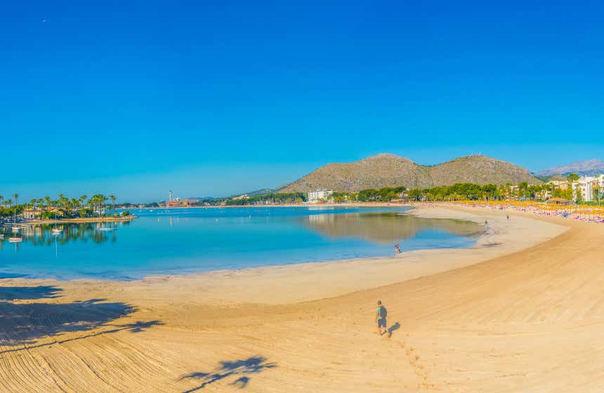 Playa de Alcudia, una extensión de 3,5 kilómetros de fina arena dorada.