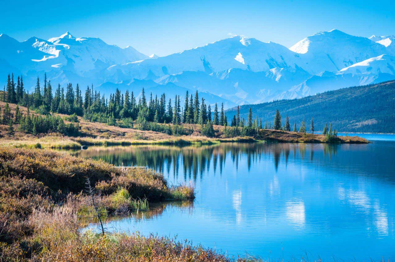 Panoramic view of a lakefront, with tall evergreen trees in the distance, and in the far off distance are towering snow capped mountains in Denali National Park